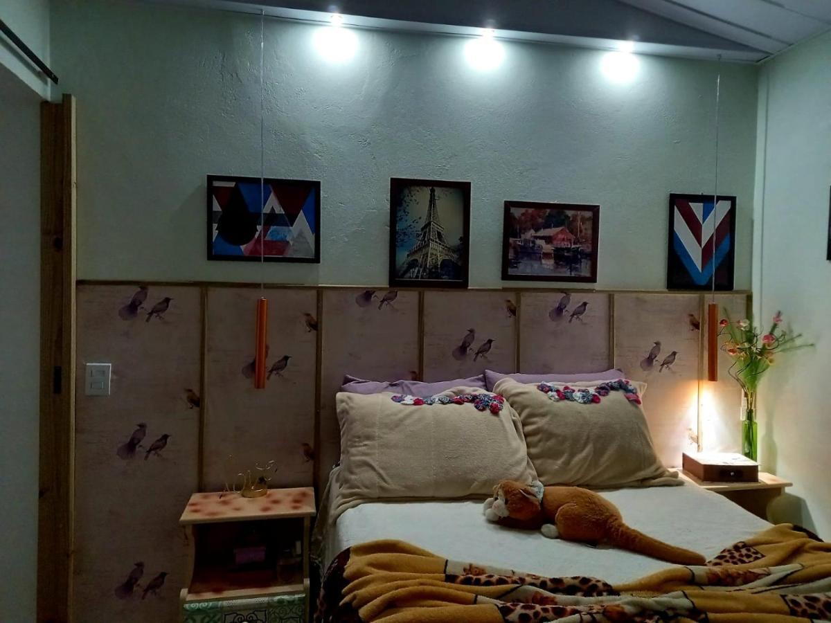 Вилла Casa Perto Do Centro Гаропаба Экстерьер фото